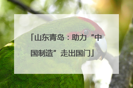 山东青岛：助力“中国制造”走出国门