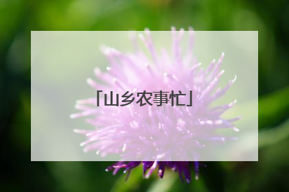 山乡农事忙