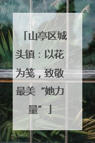 山亭区城头镇：以花为笺，致敬最美“她力量”