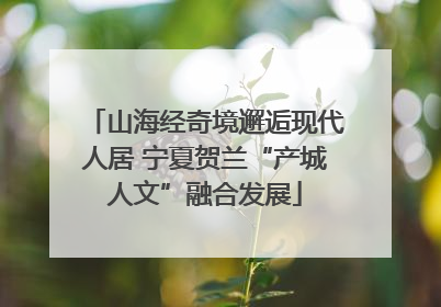 山海经奇境邂逅现代人居 宁夏贺兰“产城人文”融合发展