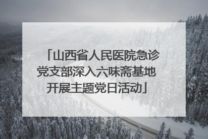 山西省人民医院急诊党支部深入六味斋基地开展主题党日活动