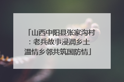 山西中阳县张家沟村：老兵故事浸润乡土 温情乡邻共筑国防情