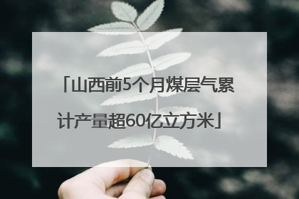 山西前5个月煤层气累计产量超60亿立方米