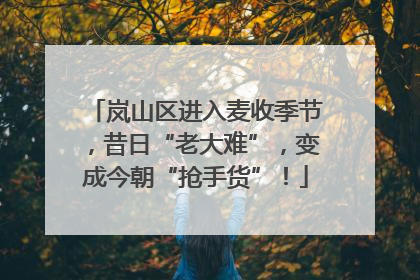 岚山区进入麦收季节，昔日“老大难”，变成今朝“抢手货”！