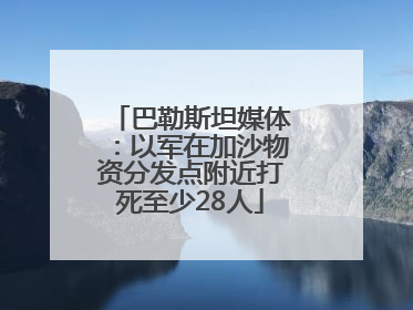 巴勒斯坦媒体：以军在加沙物资分发点附近打死至少28人