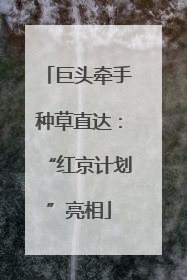 巨头牵手种草直达：“红京计划”亮相