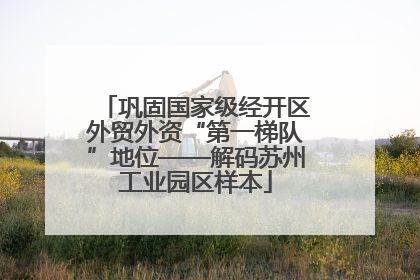 巩固国家级经开区外贸外资“第一梯队”地位——解码苏州工业园区样本