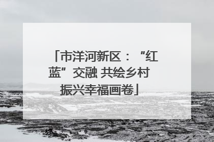 市洋河新区：“红蓝”交融 共绘乡村振兴幸福画卷