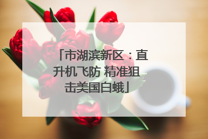市湖滨新区：直升机飞防 精准狙击美国白蛾
