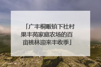 广丰桐畈镇下社村果丰苑家庭农场的百亩桃林迎来丰收季