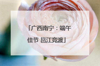 广西南宁：端午佳节 邕江竞渡
