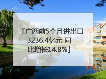 广西前5个月进出口3236.4亿元 同比增长14.8%