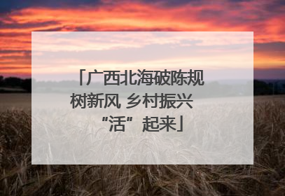 广西北海破陈规树新风 乡村振兴“活”起来