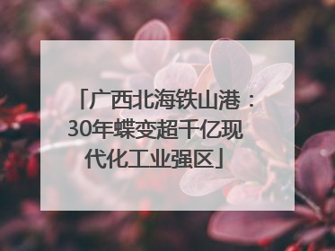 广西北海铁山港：30年蝶变超千亿现代化工业强区