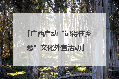 广西启动“记得住乡愁”文化外宣活动