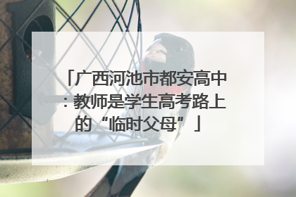 广西河池市都安高中：教师是学生高考路上的“临时父母”