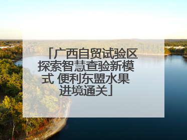 广西自贸试验区探索智慧查验新模式 便利东盟水果进境通关