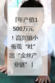年产值1500万元！高兴镇小蚕茧“吐”出“金丝产业链”