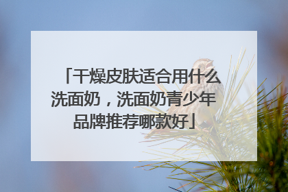 干燥皮肤适合用什么洗面奶，洗面奶青少年品牌推荐哪款好