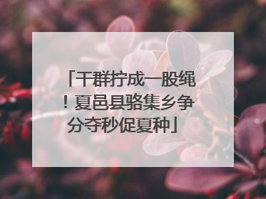 干群拧成一股绳！夏邑县骆集乡争分夺秒促夏种