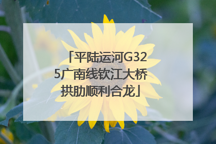 平陆运河G325广南线钦江大桥拱肋顺利合龙