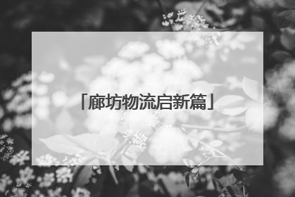 廊坊物流启新篇