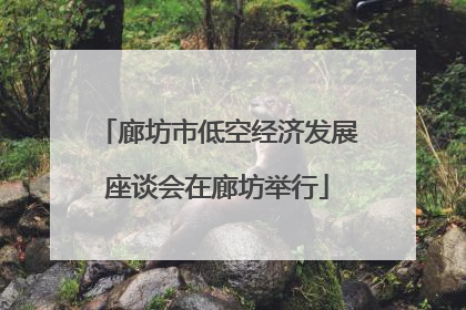 廊坊市低空经济发展座谈会在廊坊举行