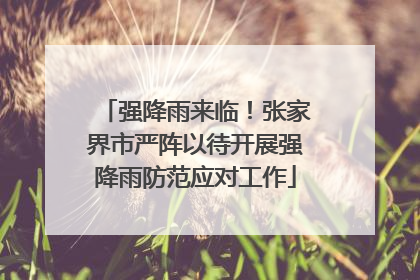 强降雨来临！张家界市严阵以待开展强降雨防范应对工作