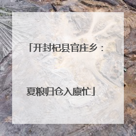 开封杞县官庄乡：夏粮归仓入廪忙