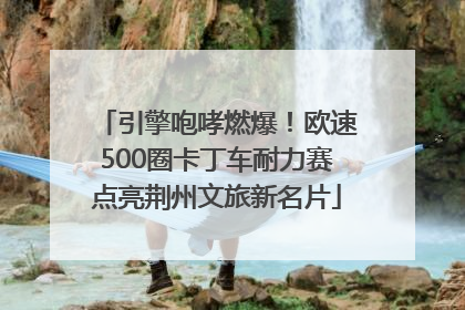引擎咆哮燃爆！欧速500圈卡丁车耐力赛点亮荆州文旅新名片