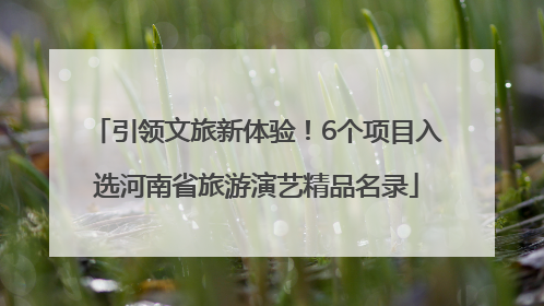 引领文旅新体验！6个项目入选河南省旅游演艺精品名录