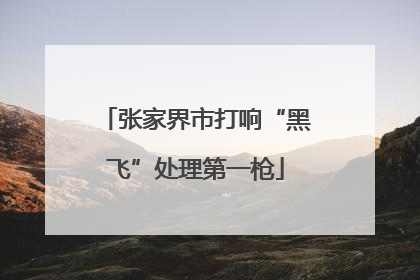 张家界市打响“黑飞”处理第一枪