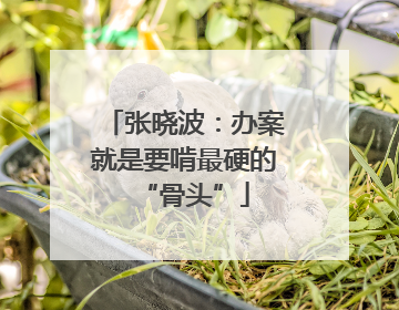 张晓波：办案就是要啃最硬的“骨头”