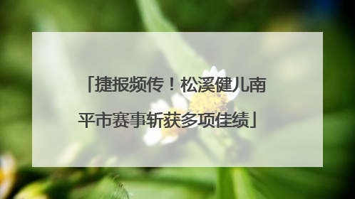 捷报频传！松溪健儿南平市赛事斩获多项佳绩