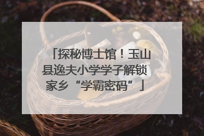 探秘博士馆！玉山县逸夫小学学子解锁家乡“学霸密码”