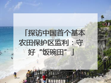 探访中国首个基本农田保护区监利：守好“饭碗田”
