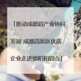 推动成德眉产业协同发展 成都高新区优质企业走进德阳和眉山