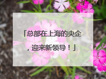 总部在上海的央企，迎来新领导！