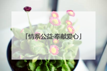 情系公益·奉献爱心