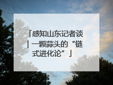 感知山东记者谈｜一颗蒜头的“链式进化论”