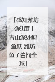 感知潍坊·深1度丨青山深处鲟鱼跃 潍坊鱼子酱闯全球