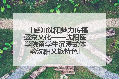 感知沈阳魅力传播盛京文化——沈阳医学院留学生沉浸式体验沈阳文旅特色
