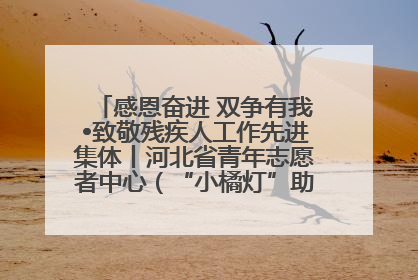 感恩奋进 双争有我•致敬残疾人工作先进集体丨河北省青年志愿者中心（“小橘灯”助残接力计划实施团队）：用温暖陪伴，守护特殊孩子成长