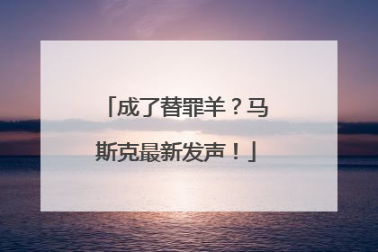 成了替罪羊？马斯克最新发声！