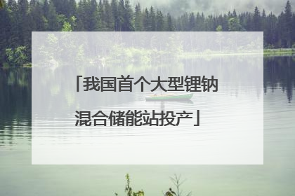 我国首个大型锂钠混合储能站投产