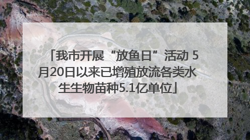 我市开展“放鱼日”活动 5月20日以来已增殖放流各类水生生物苗种5.1亿单位