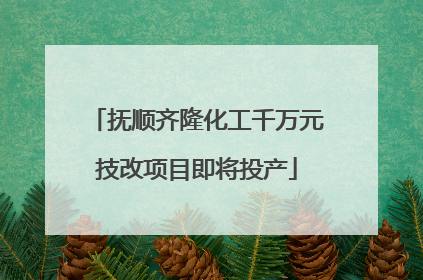 抚顺齐隆化工千万元技改项目即将投产