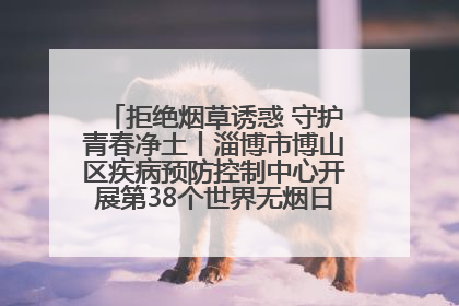 拒绝烟草诱惑 守护青春净土丨淄博市博山区疾病预防控制中心开展第38个世界无烟日系列控烟行动