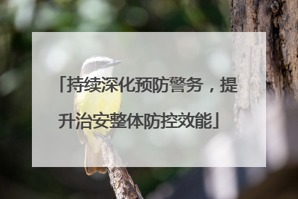 持续深化预防警务，提升治安整体防控效能