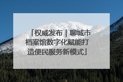 权威发布｜聊城市档案馆数字化赋能打造便民服务新模式